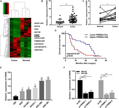 Long Non-coding RNA FIRRE Acts as a miR-520a-3p Sponge to Promote Gallbladder Cancer Progression via Mediating YOD1 Expression